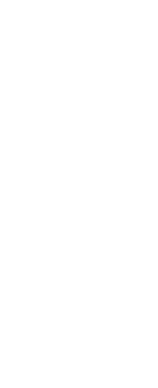 Insignia CERO OCHO